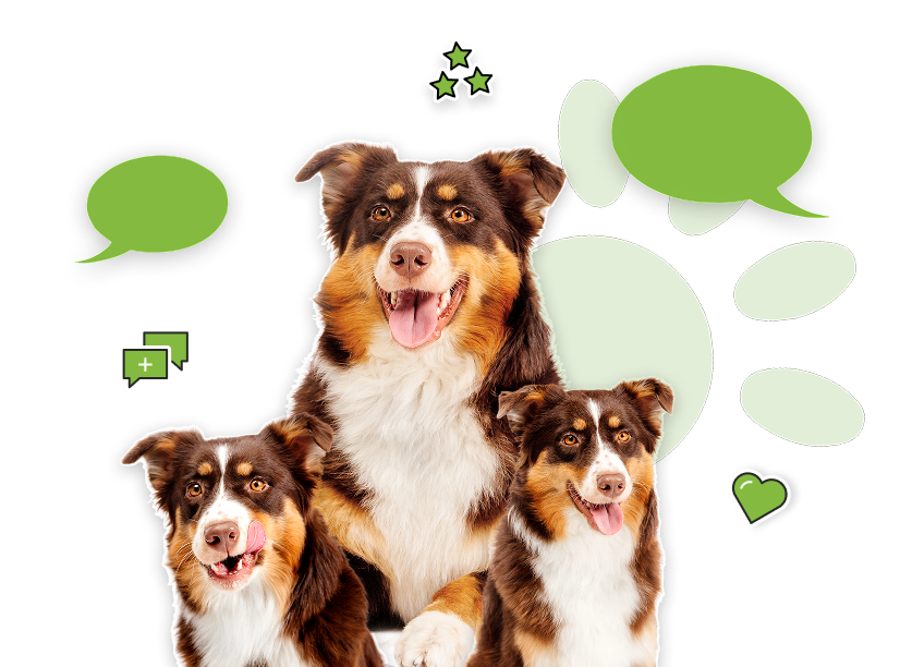 6. Commentaires et photos des proches