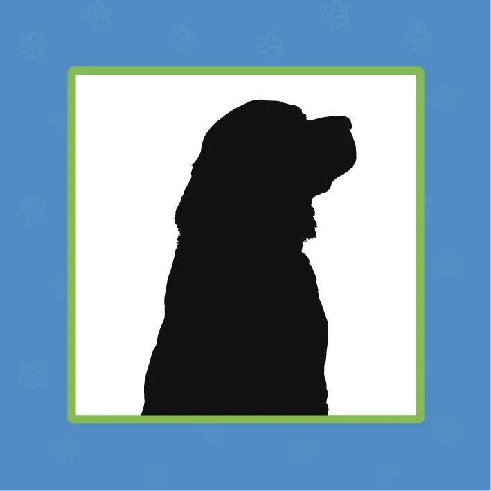 Clinique Vétérinaire COSVet