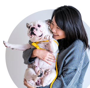 Propriétaires d'animaux