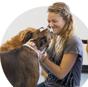 SPCA