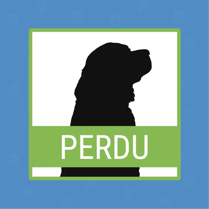 Clinique Vétérinaire COSVet