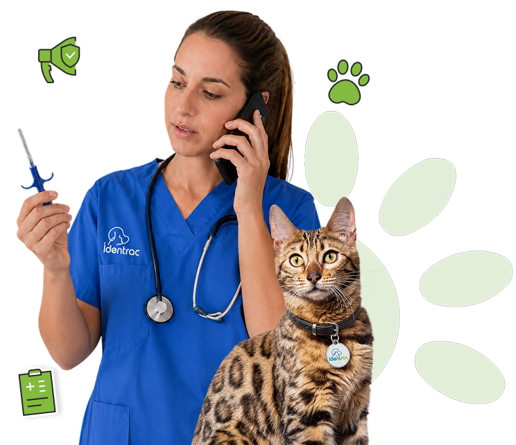 Où acheter des micropuces pour animaux?