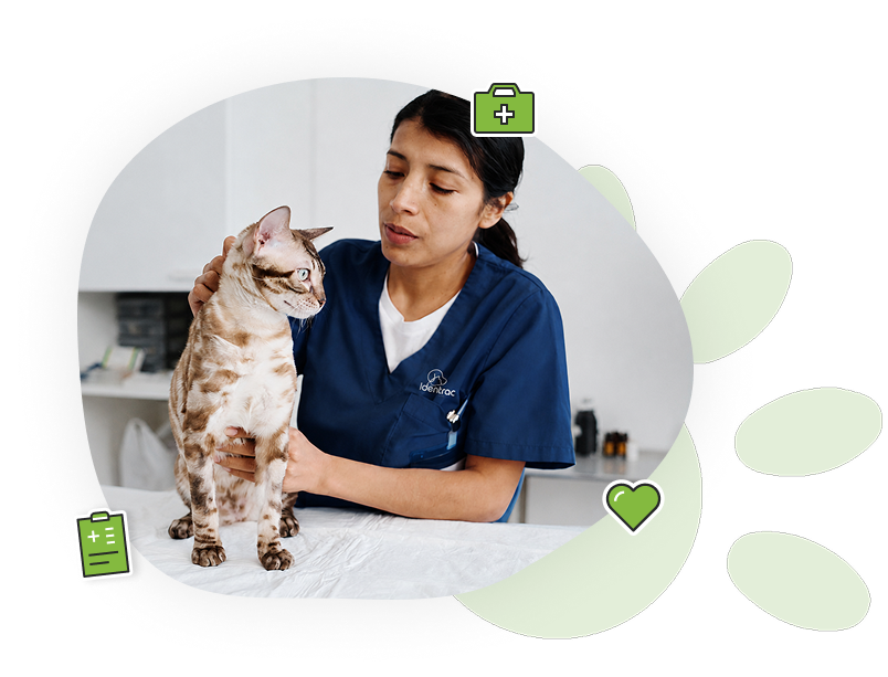 4. Préparer l’animal et la zone d’implantation