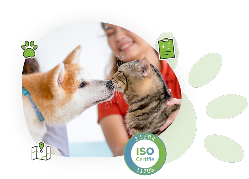 Pourquoi utiliser Identrac pour la micropuce animale?