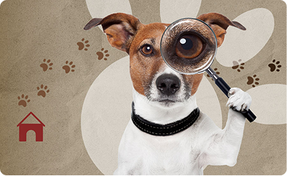 Retrouver votre animal