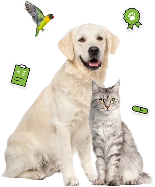 La meilleure protection pour vos compagnons