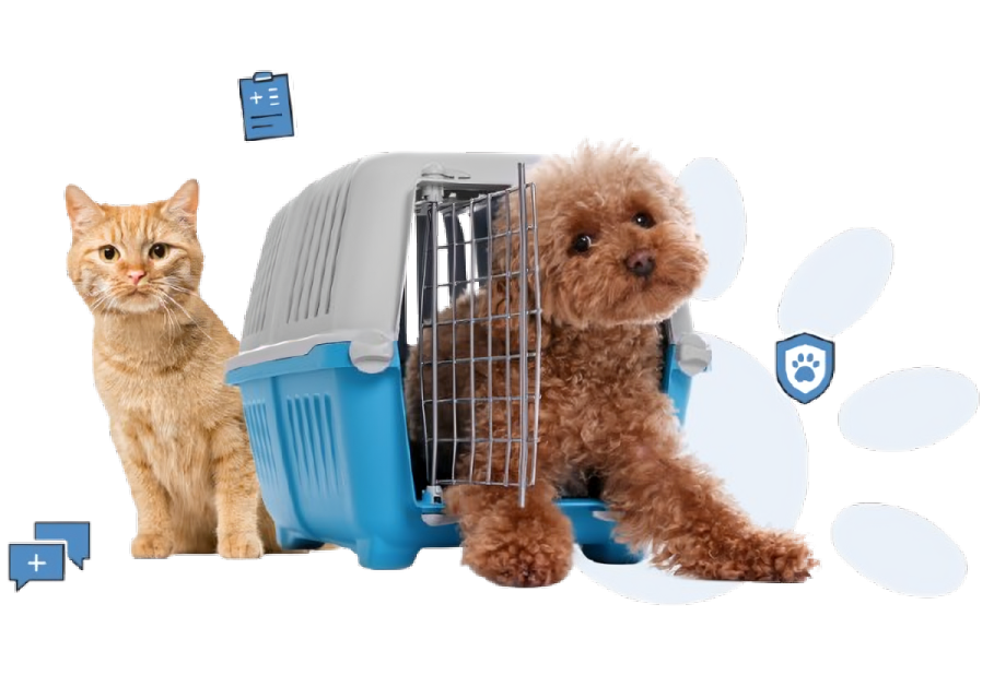 Recherche de micropuce rapide et sécurisée