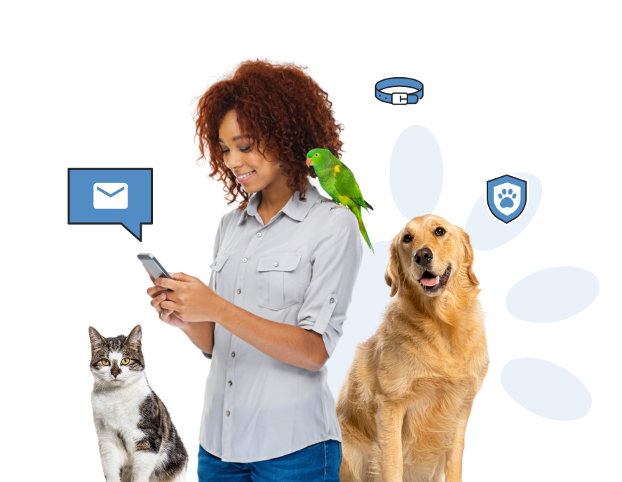 Saisie d’animaux centralisée