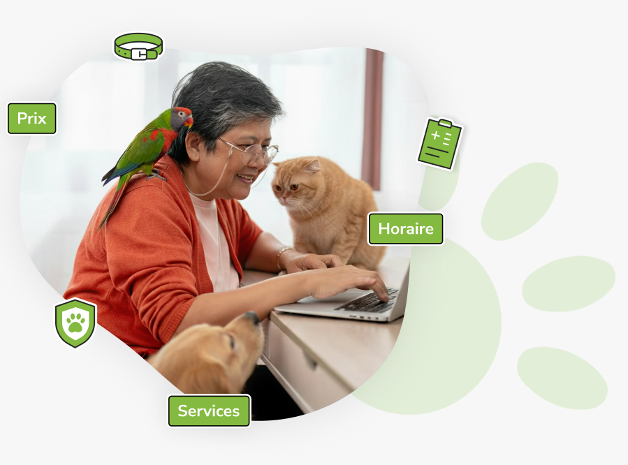 Saisie d’animaux centralisée