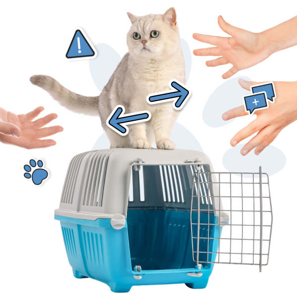Transfert d’animaux efficace et fiable