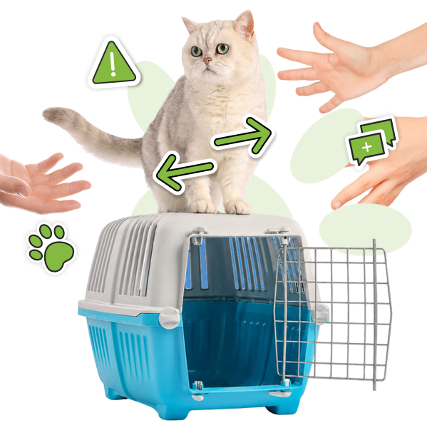 Transfert d’animaux efficace et fiable