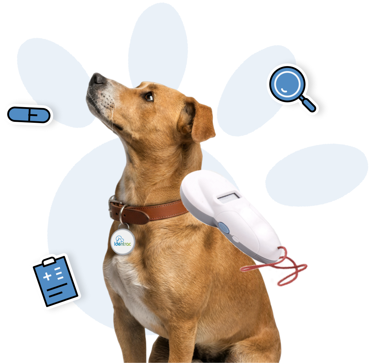 Recherche de micropuce rapide et sécurisée