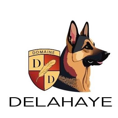 Domaine Delahaye - Pension et garderie de jour pour chien/élevage de berger allemand