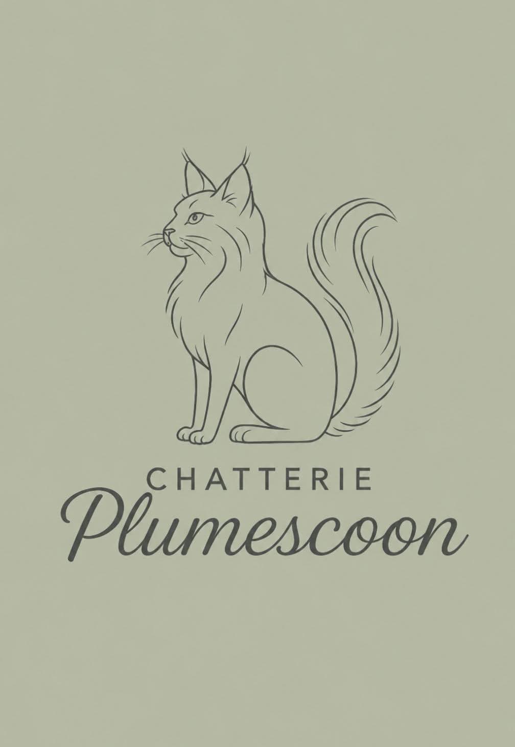 Chatterie Plumescoon