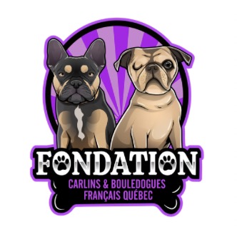 Fondation Carlins Québec