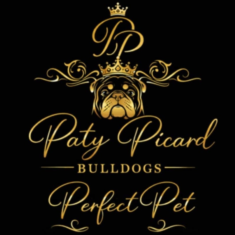 Paty Picard bulldogs perfect pet