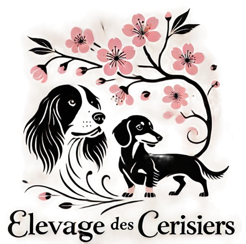 Élevage descerisiers