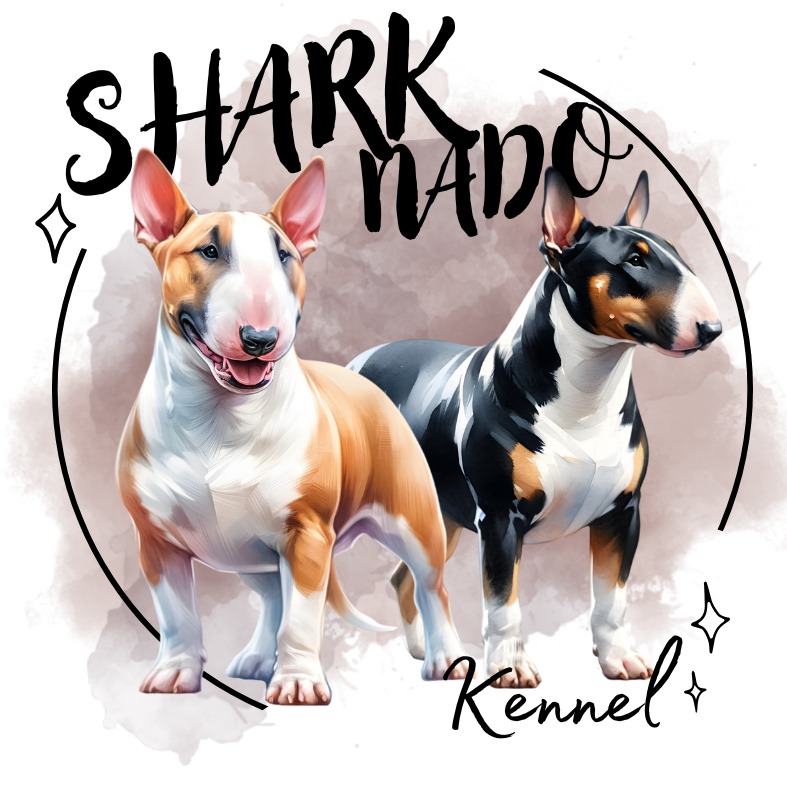 Sharknado Kennel