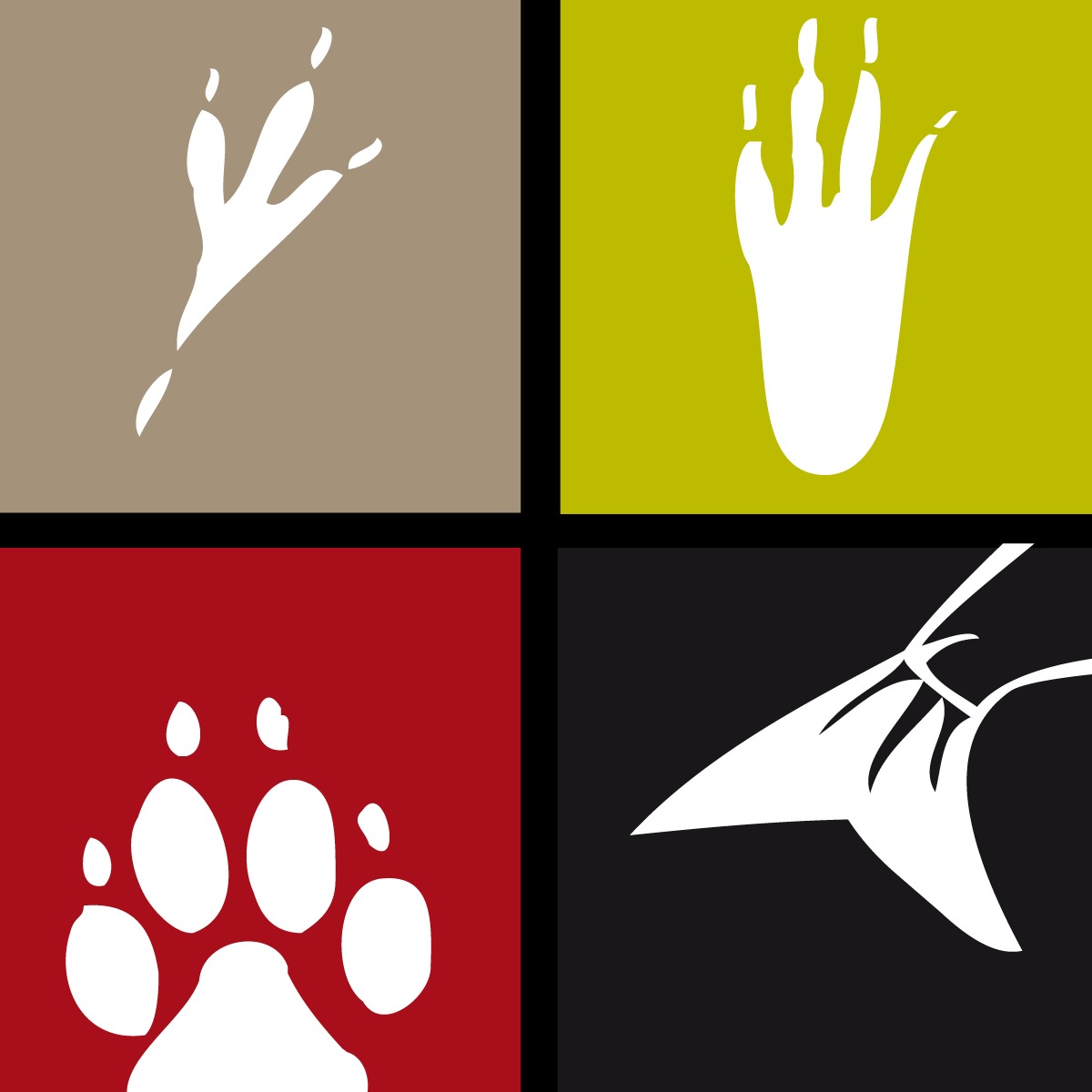 Boutique d'animaux Drummond