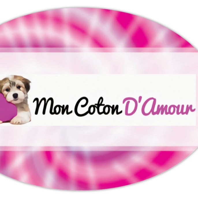 Mon Coton D'Amour