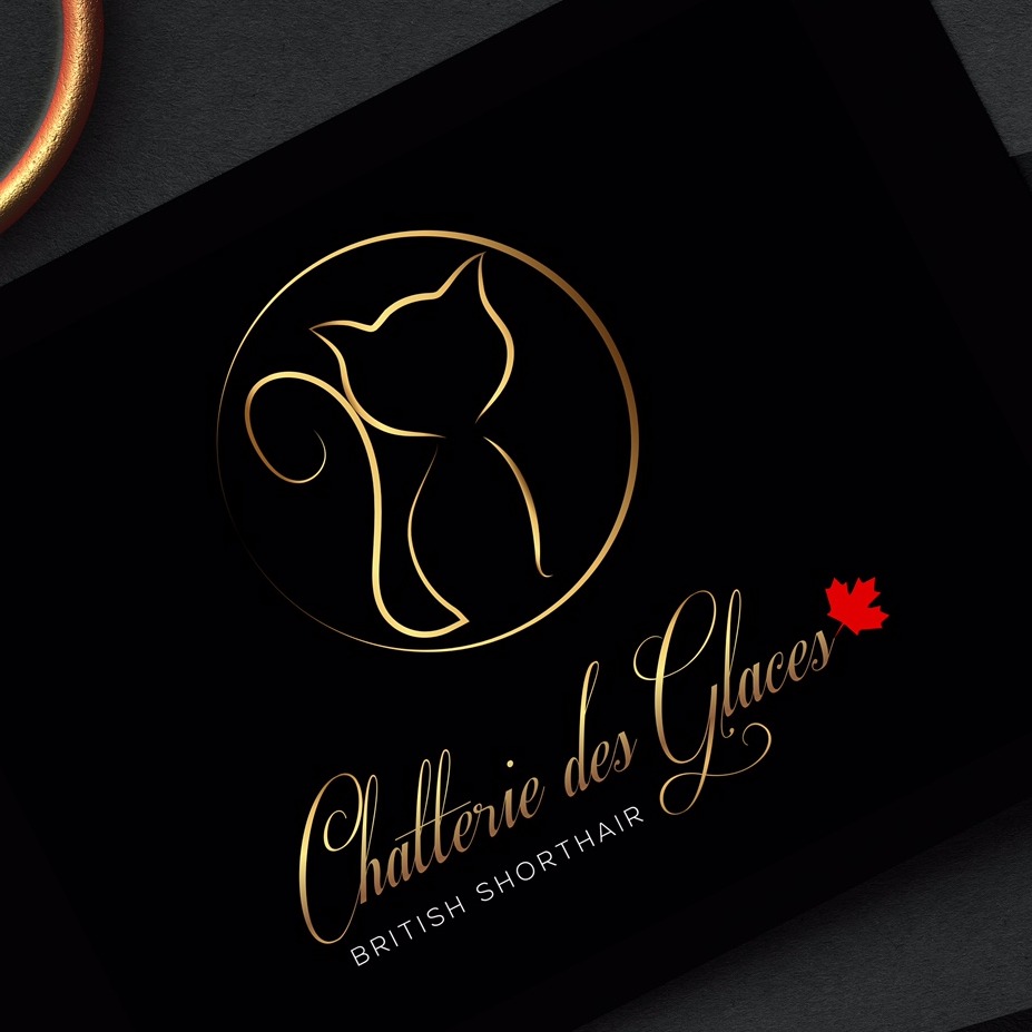 Chatterie Des Glaces / Jacinthe Papineau