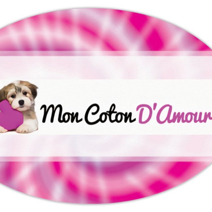 Mon Coton D'Amour