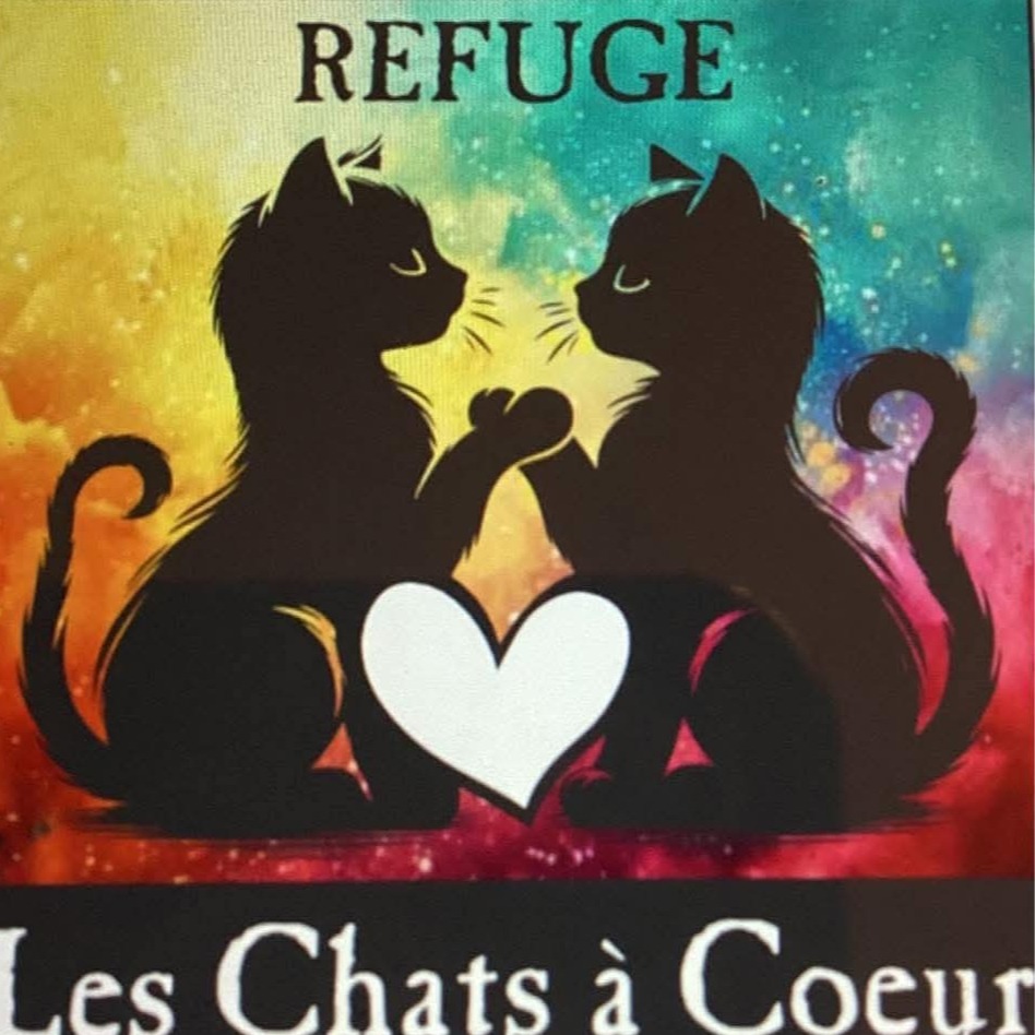 Les Chats à Coeur