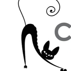 Chatterie Félin Insolite