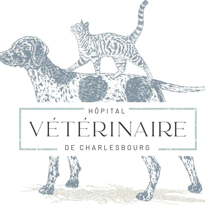 Hôpital vétérinaire de Charlesbourg